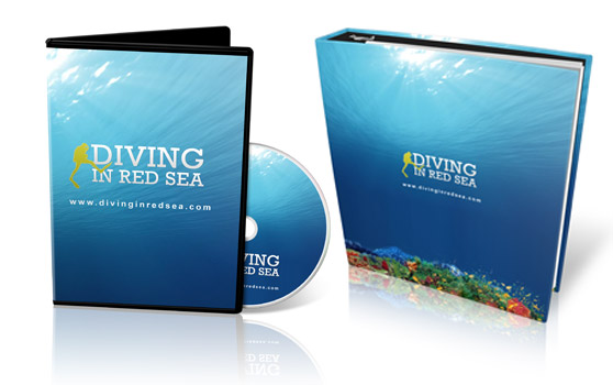 Egypt branding Identity
