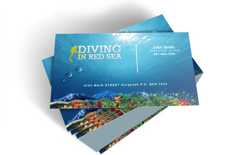 egypt business card Design